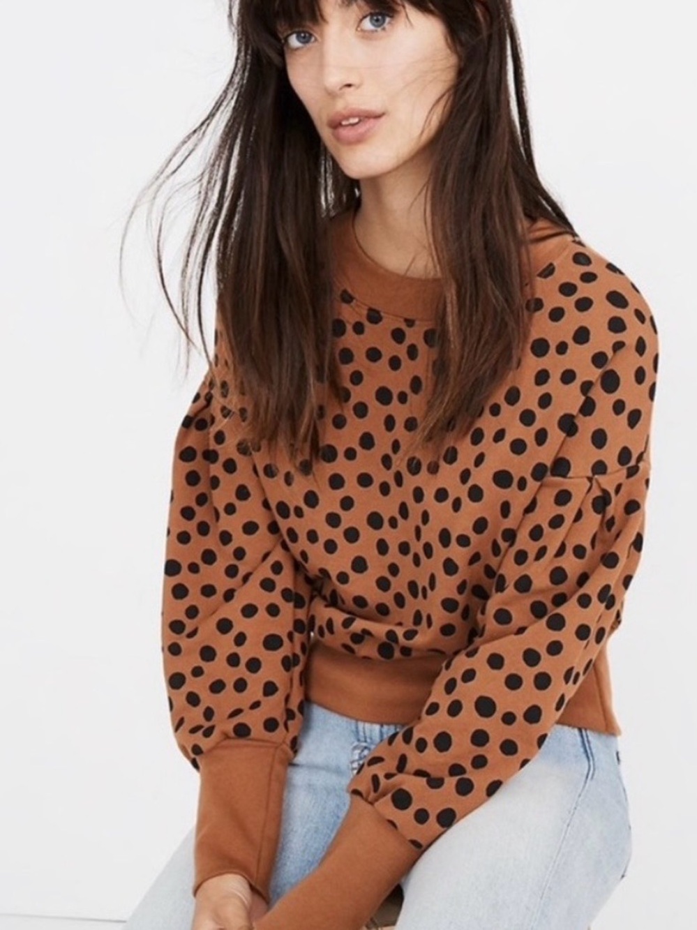 Madewell Brown Polka Dot Crewneck Sweater